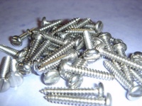 screws2